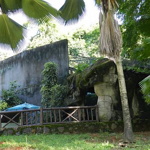 Spot the puma - Salvador zoo (PZGV)