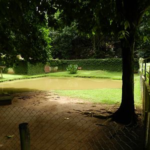 Marsh deer exhibit - Salvador zoo (PZGV)