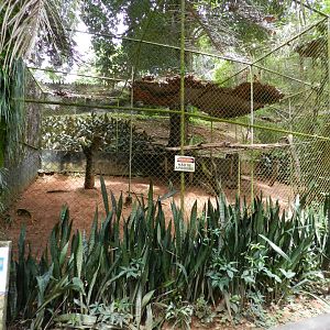Harpy eagle exhibit - Salvador zoo (PZGV)