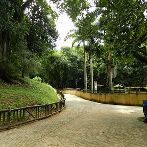 Square - Salvador zoo (PZGV)