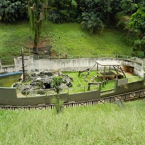 Spectacled bear exhibit - Salvador zoo (PZGV)