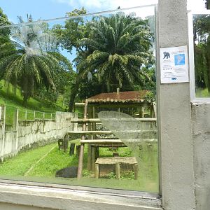Spectacled bear exhibit - Salvador zoo (PZGV)