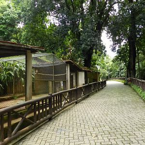 Row of raptor exhibits - Salvador zoo (PZGV)