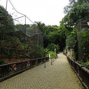 Bird exhibits - Salvador zoo (PZGV)