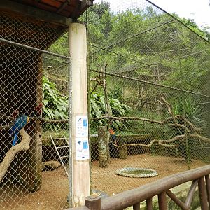 Macaw exhibit - Salvador zoo (PZGV)