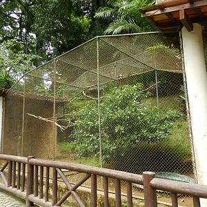 Golden conure exhibit - Salvador zoo (PZGV)