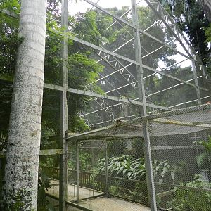 Big walkthrough aviary - Salvador zoo (PZGV)