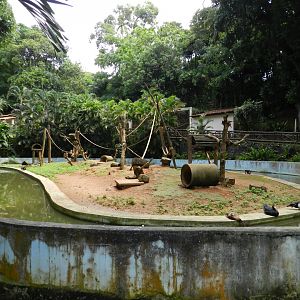 Capuchin monkey island - Salvador zoo (PZGV)