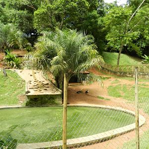 Lowland tapir exhibit - Salvador zoo (PZGV)