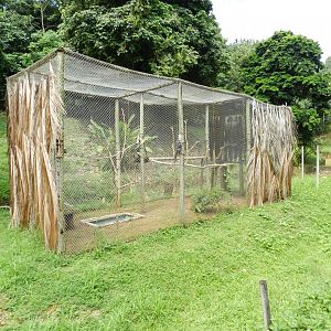 Hyacinth macaw exhibit - Salvador zoo (PZGV)