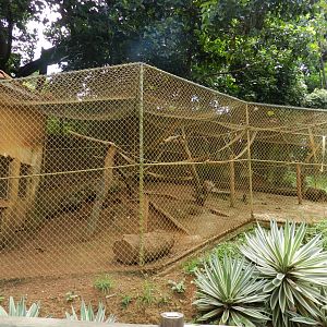 Capuchin monkey exhibit - Salvador zoo (PZGV)