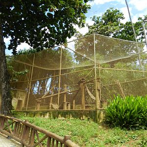 Capuchin monkey exhibit - Salvador zoo (PZGV)