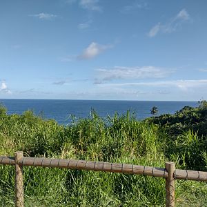 View from the zoo's parking lots - Salvador zoo (PZGV)