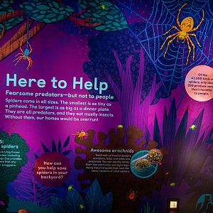 Here to Help wall art