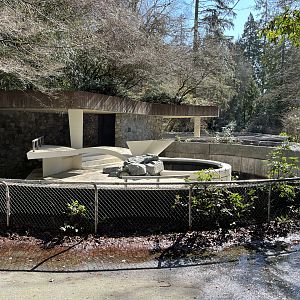 Abandoned Polar Bear Exhibit