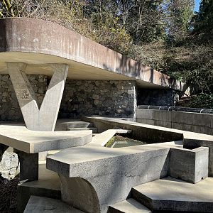 Abandoned Polar Bear Exhibit