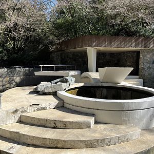 Abandoned Polar Bear Exhibit