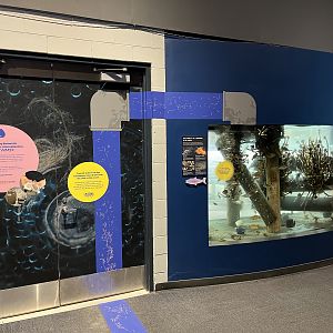 Research Lab Exhibit