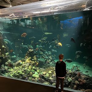 Strait of Georgia Exhibit