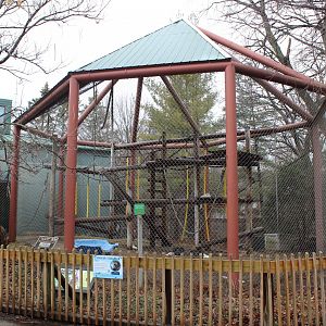 Orangutan Exhibit - Primate House