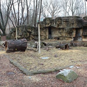 North American Porcupine Exhibit