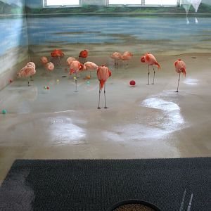 Flamingo House