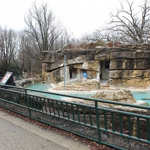 African Penguin Exhibit