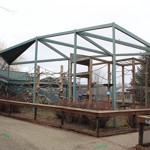 Lar Gibbon Exhibit - Children's Zoo
