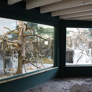 Lar Gibbon Indoor Exhibit - Children's Zoo