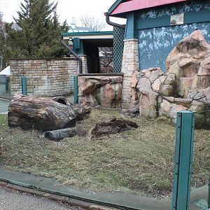 Indian Crested Porcupine Exhibit - Children's Zoo