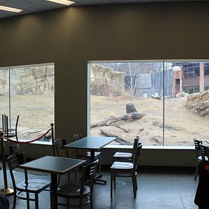 Restaurant View of Polar Bear Exhibit - Arctic Passage