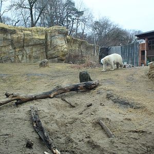 Polar Bear Exhibit - Arctic Passage