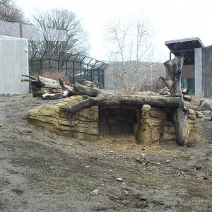 Grizzly Bear Exhibit - Arctic Passage