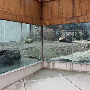 Grizzly Bear Exhibit - Arctic Passage