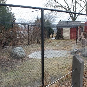 Sandhill Crane Exhibit - Wisconsin Heritage