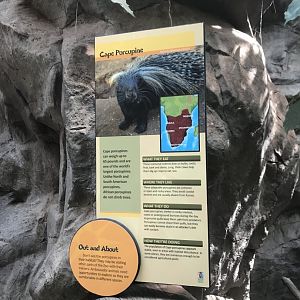 Tropics Trail - New Cape Porcupine Singage