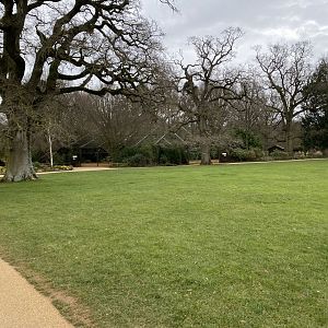 View towards Clouded leopard enclosure 280222