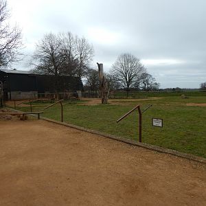 Giraffe enclosure 280222