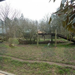 Asiatic lion enclosure 280222