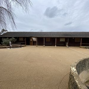 Little Africa 280222