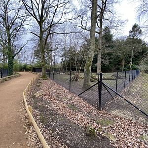Giant anteater enclosure 280222
