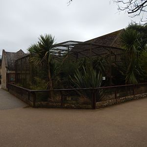 Malayan binturong enclosure 280222