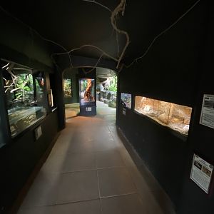 Invertebrate House 280222