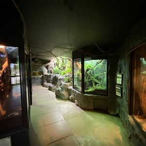 Invertebrate House 280222