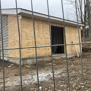 Andean Bear Habitat Construction March 19, 2021