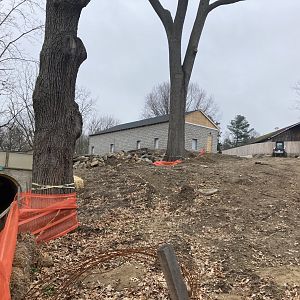 Andean Bear Habitat Construction March 19, 2021