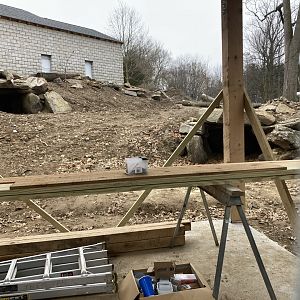 Andean Bear Habitat Construction March 19, 2021