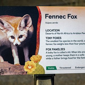 Fennec Fox Signage