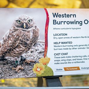 Western Burrowing Owl Signage