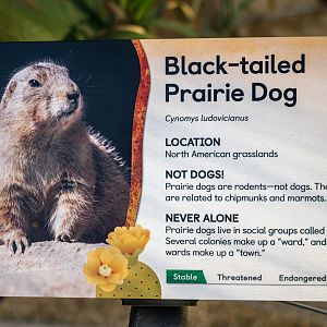 Black Tailed Prairie Dog Signage
